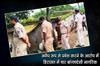 Khabar East:Four-Bangladeshi-Nationals-Detained-In-Paradip-For-Illegal-Entry