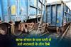 Khabar East:Goods-Train-Derails-Near-Cuttack-Station-No-Casualties-Reported