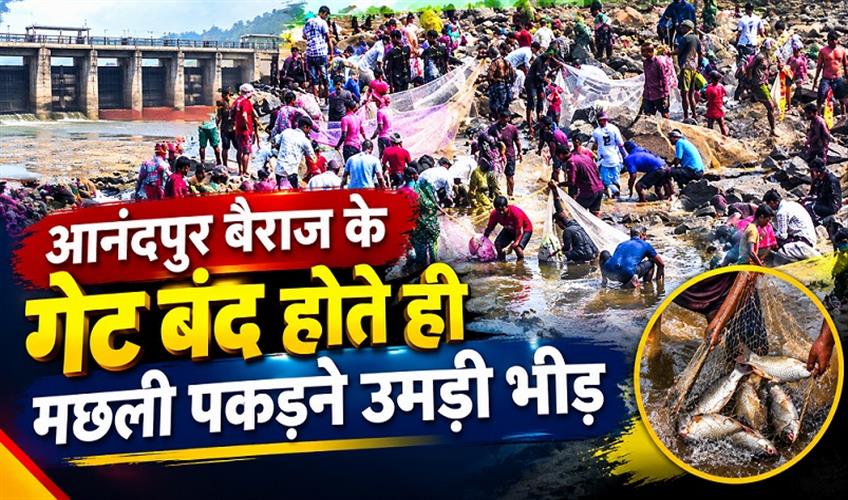 Khabar East:Hundreds-Rush-To-Baitarani-Riverbed-To-Catch-Fish-As-Anandapur-Barrage-Gates-Close