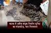 Khabar East:Illegal-Gun-Manufacturing-Unit-Busted-In-Cuttack-4-Arrested