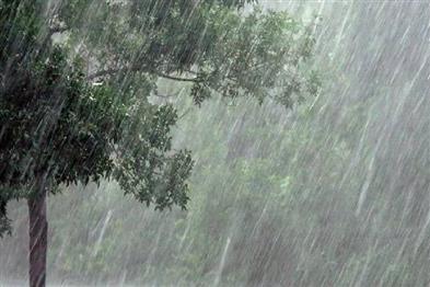 Khabar East:Kalahandi-Rayagada-Nabarangpur-Sees-More-Than-200mm-Rainfall-In-Last-24-Hours