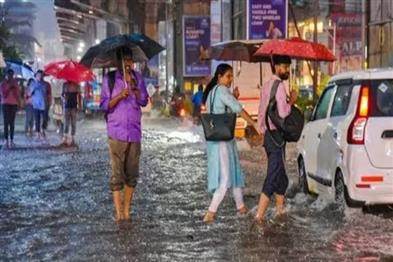 Khabar East:Kolkata-Municipal-Corporation-is-busy-in-investigating-bad-roads