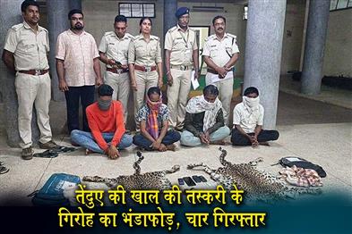 Khabar East:Leopard-Skin-Smuggling-Ring-Busted-In-Rayagada-Four-Held