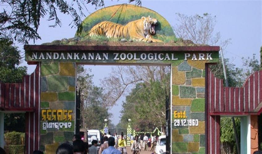 Khabar East:Leopard-dies-in-Nandankanan-Zoo
