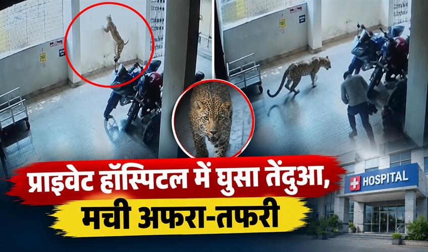 Khabar East:Leopard-entered-private-hospital-created-chaos