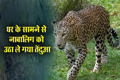 Khabar East:Leopard-took-away-the-minor-from-in-front-of-the-house