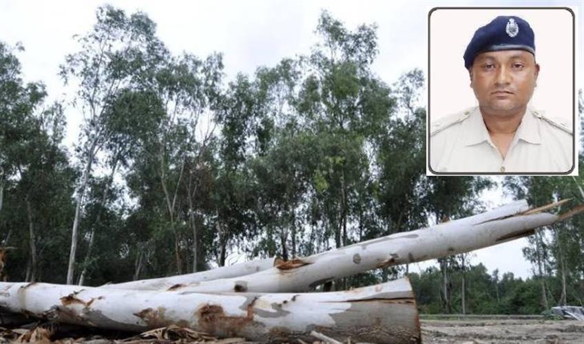 Khabar East:Nabarangpur-DFO-Suspends-Forester-On-Unauthorized-Tree-Felling-Charges