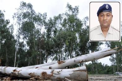 Khabar East:Nabarangpur-DFO-Suspends-Forester-On-Unauthorized-Tree-Felling-Charges