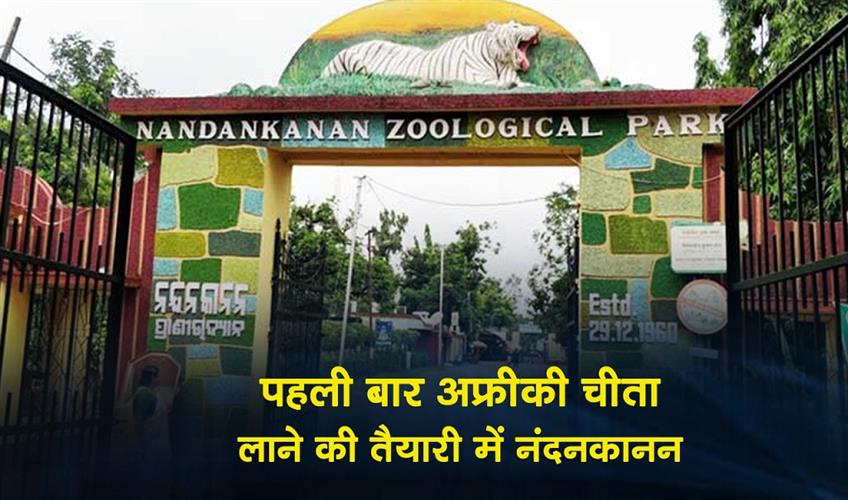 Khabar East:Nandankanan-Set-To-Bring-African-Cheetahs-For-First-Time-Ever