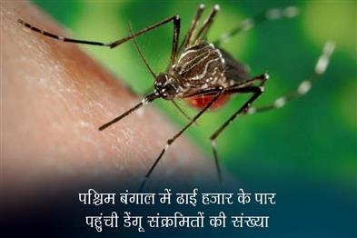 Khabar East:Number-of-dengue-infected-in-West-Bengal-reached-two-and-a-half-thousand