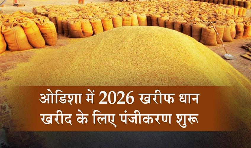 Khabar East:Odisha-Begins-Registration-For-2026-Kharif-Paddy-Procurement
