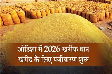 Khabar East:Odisha-Begins-Registration-For-2026-Kharif-Paddy-Procurement