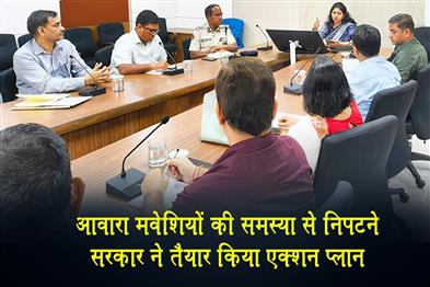 Khabar East:Odisha-Charts-Action-Plan-To-Address-Stray-Cattle-Menace
