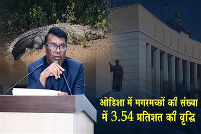 Khabar East:Odisha-Crocodile-Population-Increases-By-354-Minister