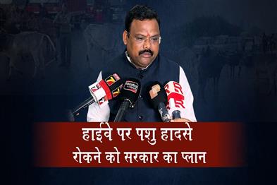 Khabar East:Odisha-Govt-To-Set-Up-Gaushalas-Along-NHs-To-Curb-Stray-Animal-Accidents