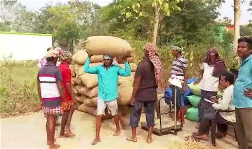 Khabar East:Odisha-Paddy-Procurement-At-Rs-3100-Per-Quintal-From-Tomorrow