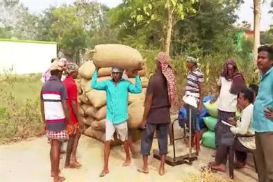 Khabar East:Odisha-Paddy-Procurement-At-Rs-3100-Per-Quintal-From-Tomorrow