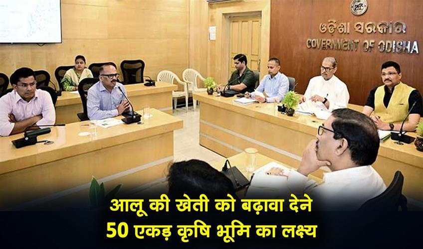 Khabar East:Odisha-Plans-To-Boost-Potato-Cultivation-Targets-50000-Acres-Of-Agricultural-Land