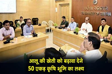 Khabar East:Odisha-Plans-To-Boost-Potato-Cultivation-Targets-50000-Acres-Of-Agricultural-Land
