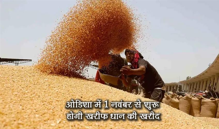 Khabar East:Odisha-to-Begin-Kharif-Paddy-Procurement-from-November-1-Farmer-Registration-Opens-Today