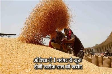 Khabar East:Odisha-to-Begin-Kharif-Paddy-Procurement-from-November-1-Farmer-Registration-Opens-Today
