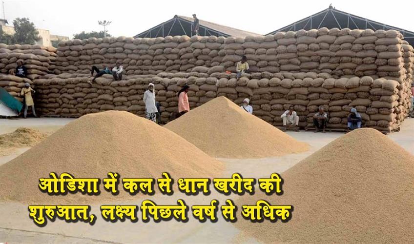 Khabar East:Odisha-to-Begin-Paddy-Procurement-Tomorrow-with-Higher-Target