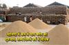 Khabar East:Odisha-to-Begin-Paddy-Procurement-Tomorrow-with-Higher-Target