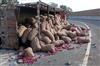 Khabar East:Onion-Laden-Truck-Overturns-On-NH-49-In-Keonjhar-Spilled-Onions-Collected-By-Locals