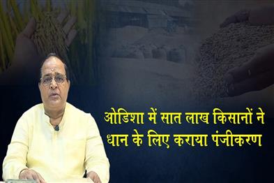 Khabar East:Over-7L-Farmers-Complete-Paddy-Registration-For-Kharif-2026-27-In-Odisha