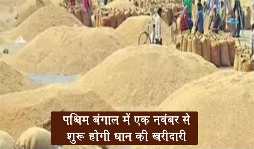 Khabar East:Paddy-procurement-to-begin-in-West-Bengal-from-November-1