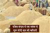 Khabar East:Paddy-procurement-to-begin-in-West-Bengal-from-November-1