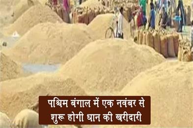 Khabar East:Paddy-procurement-to-begin-in-West-Bengal-from-November-1