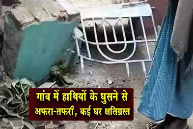 Khabar East:Panic-erupted-in-the-village-as-elephants-entered-damaging-several-houses