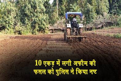 Khabar East:Police-destroyed-10-acres-of-opium-crop