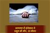 Khabar East:Pregnant-woman-dies-due-to-injection-in-hospital-10-fall-ill