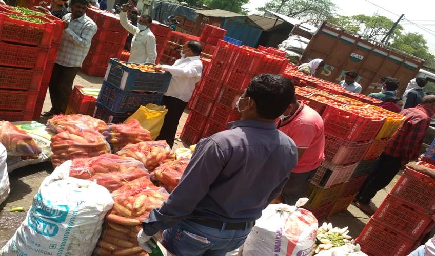 Khabar East:Prices-of-vegetables-decreased-arrivals-increased-in-the-mandis-farmers-also-started-breaking-vegetables