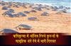 Khabar East:Rushikulya-Sees-Sharp-Drop-In-Olive-Ridley-Turtle-Mass-Nesting