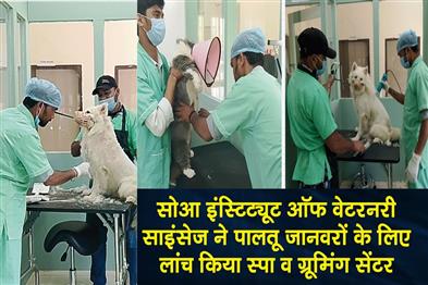 Khabar East:SOA-Institute-of-Veterinary-Sciences-launches-spa-and-grooming-centre-for-pets