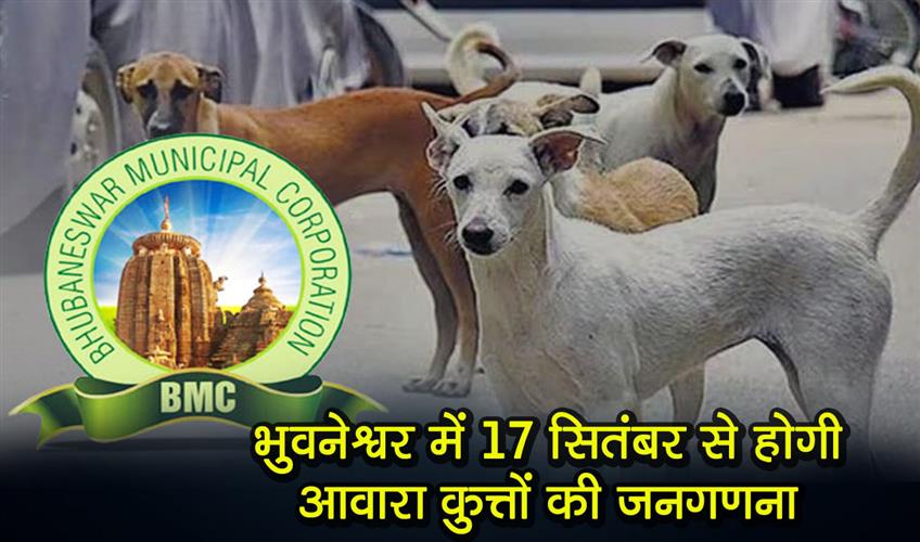 Khabar East:Street-Dog-Census-In-Bhubaneswar-From-September-17
