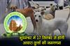 Khabar East:Street-Dog-Census-In-Bhubaneswar-From-September-17