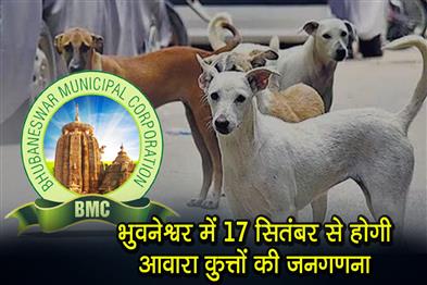 Khabar East:Street-Dog-Census-In-Bhubaneswar-From-September-17