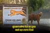 Khabar East:Sundarban-will-become-the-countrys-second-largest-tiger-reserve
