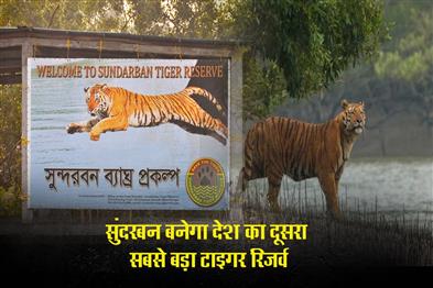 Khabar East:Sundarban-will-become-the-countrys-second-largest-tiger-reserve