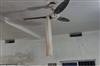 Khabar East:Suspicious-death-of-temple-priest-body-found-hanging-from-a-noose