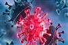 Khabar East:Swine-flu-reaches-Patna-two-patients-test-positive
