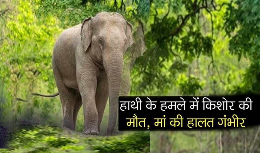 Khabar East:Teenager-Killed-In-Elephant-Attack-In-Khurdha-Mother-Critical