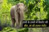 Khabar East:Teenager-Killed-In-Elephant-Attack-In-Khurdha-Mother-Critical