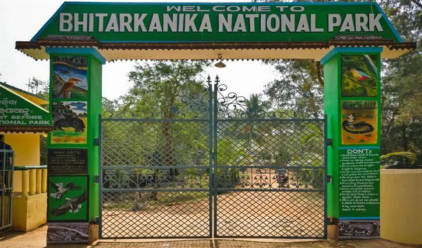 Khabar East:Three-Day-Bird-Census-Begins-In-Bhitarkanika-National-Park