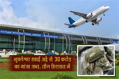 Khabar East:Three-detained-at-Bhubaneswar-airport-with-hydroponic-marijuana-worth-over-Rs-30-cr