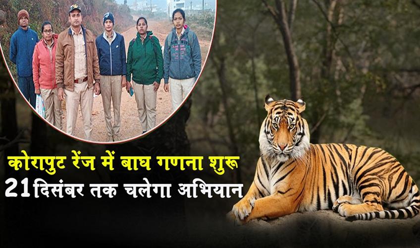 Khabar East:Tiger-Census-Begins-In-Koraput-Range